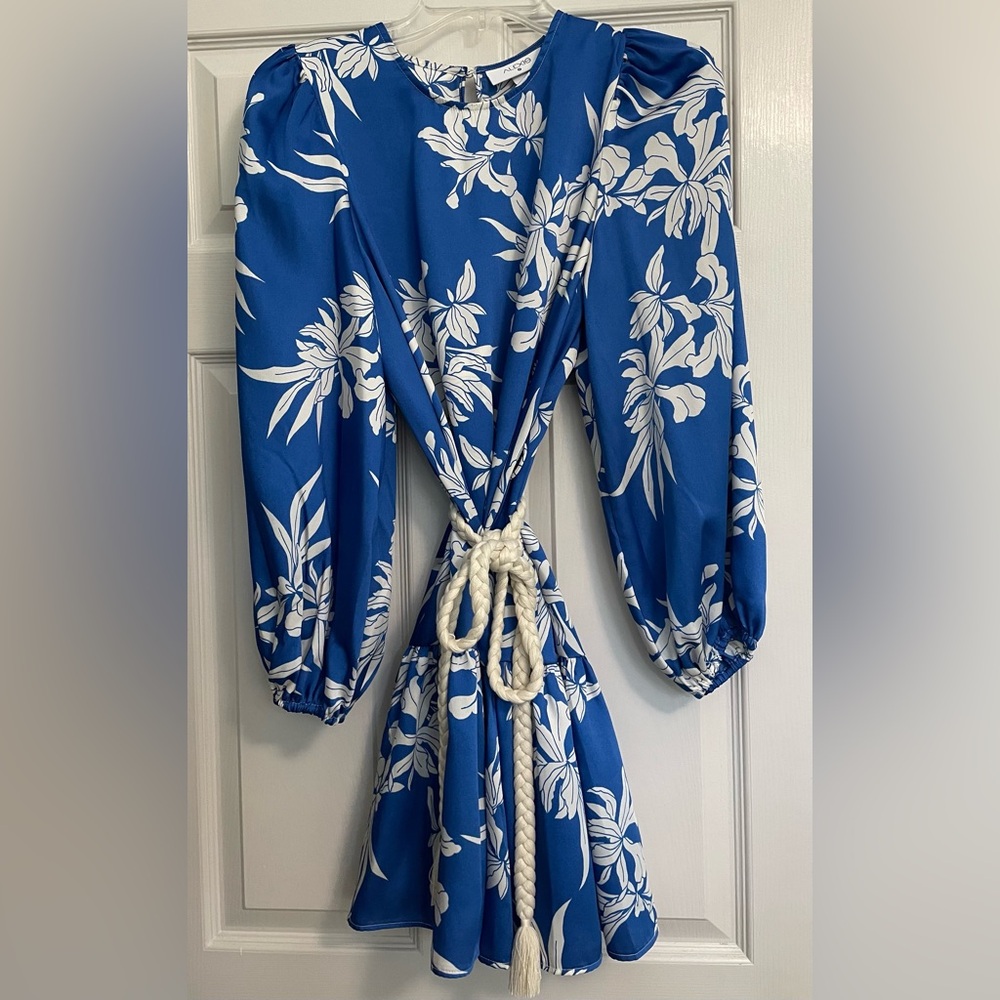 Alexis for Target Blue Floral Dress
